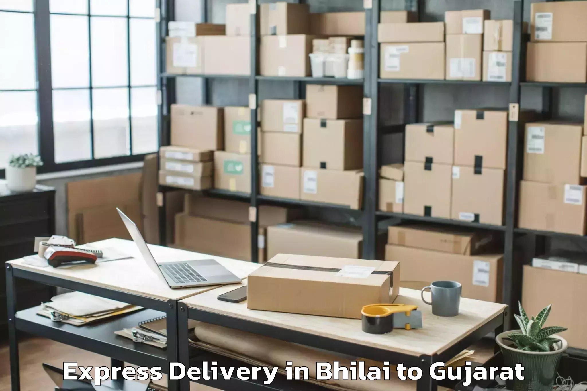 Professional Bhilai to Navrangpura Express Delivery